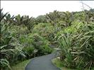 Paparoa National Park